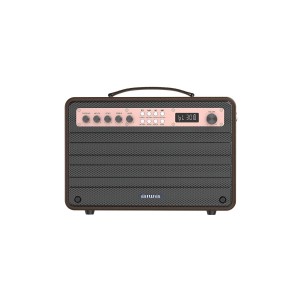 Aiwa MI-X440 Enigma Beta 80 W Bluetooth Home Audio Speaker  (Black, Mono Channel)